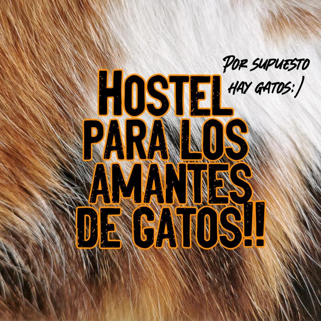 Bed and Breakfast Posada De Los Gatos Puerto Natales Exteriér fotografie